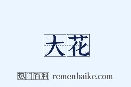 大花是什么意思的图片